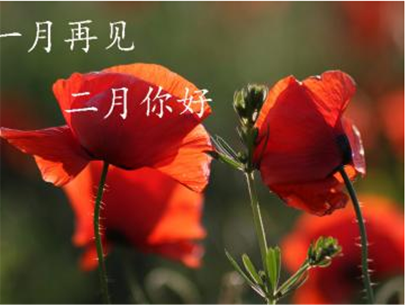 1月再見、2月你好——轉(zhuǎn)載網(wǎng)絡(luò)圖片