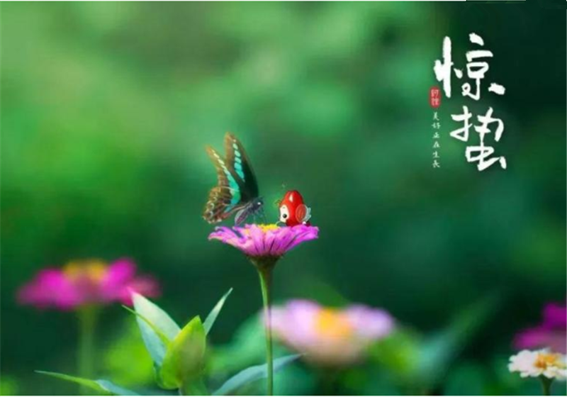 二十四節(jié)氣“驚蜇”都有哪些習(xí)俗？