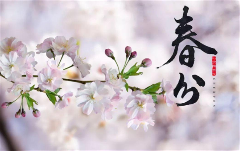 二十四節(jié)氣——春分有哪些習俗？